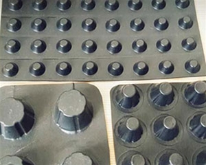 不同規格排水板