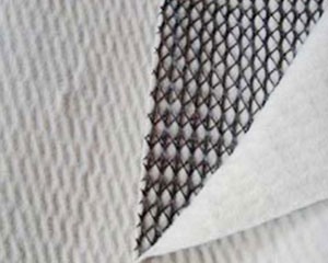 三維復合排水網3